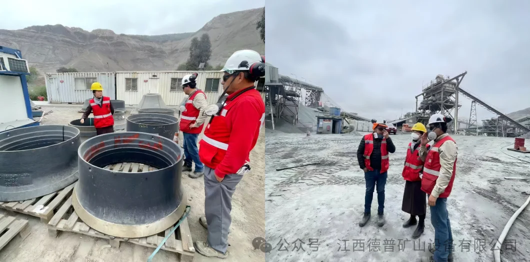 Setting Sail for Global Success: Depu’s International Sales Triple 20 xw3-2